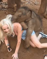 Porn funny gifs gif x Strange gif