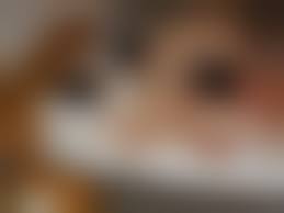 人妻乱交投稿|熟女乱交】素人の人妻・熟女が乱れまくりの大乱交 画像21枚 | エロログZ