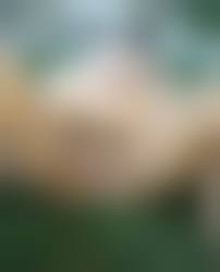 有名女優 無修正|無修正が見れるＡＶ女優 超厳選１００人まとめ - YouTube