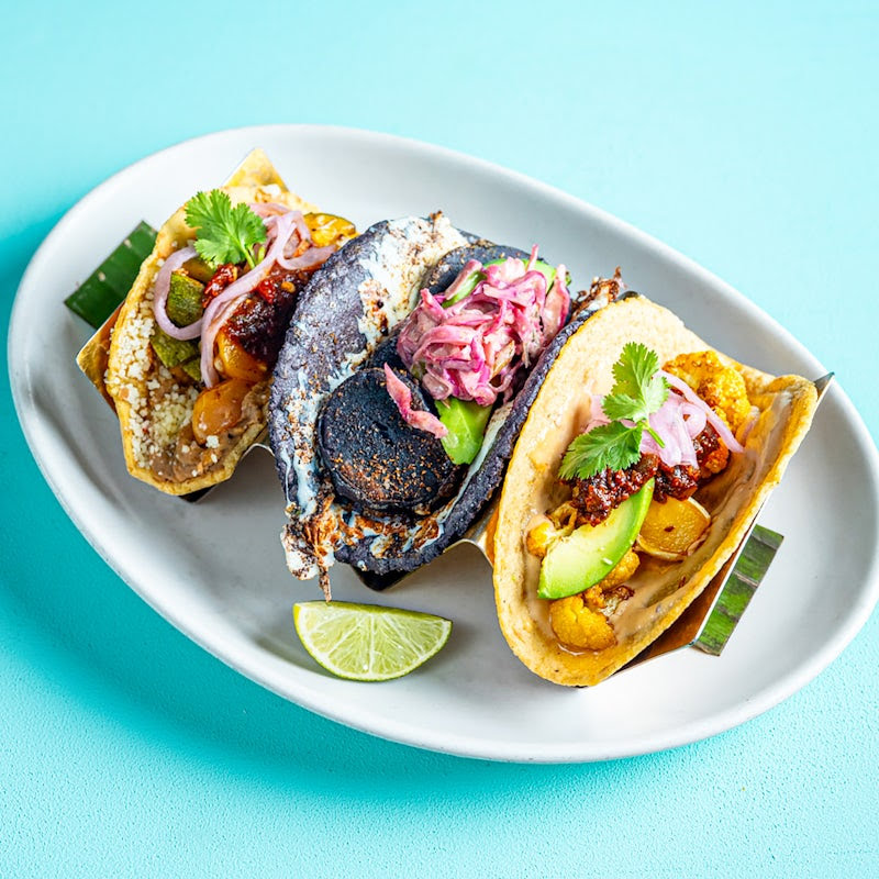Tocaya Modern Mexican by null