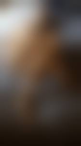 pure-nudism-imgNudist family erection|Nudists with Erections (55 photos) - sex eporner pics