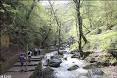 Image result for u202bآبشار کبودوالu202c