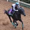土曜メインレースの注目激走馬…東京１１Ｒ府中牝馬ステークス ...