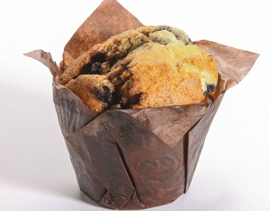 Pigeon Espresso Bar by null