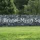 Bristol's Opdivo Shows Benefits in Cancer Immunotherapy Trial 