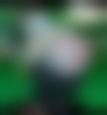 лоля порно|Разное хентай ебалово с красивым арт дизайном персонажей - смотреть и  скачать порно бесплатно