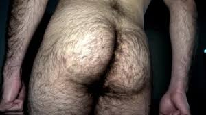 Gay hairy solo jpg x Gay hairy solo