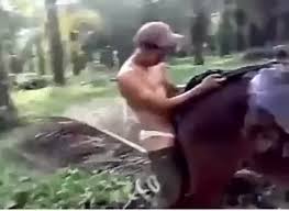 Guy fucked horse jpg x Guy fucked by horse