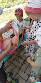 indes toddler rajce| Ранній розвиток дітей. - YouTube