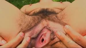 Hairy ebony bush jpg x Ebony bush