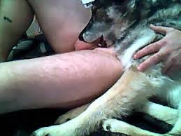 E guys and female dogs cum inside little fawn dane petlust com jpg x Guy fucks dog pussy