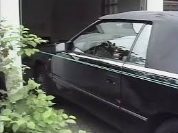 Vintage anal german porn videos jpg x German vintage anal