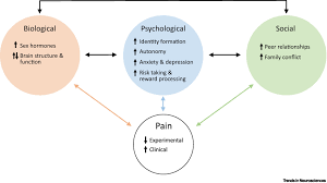 Pre pubertal girls nude |