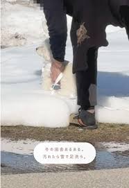 女性　大便　雪上|