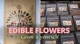 The Fascinating World of Edible Flowers ile ilgili video