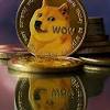 DOGE: Navigating Crypto's Volatility