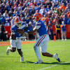 Florida Gators in action