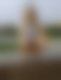  на людях безтрусиков|Девушки без трусов показывают голую пизду на улице (110 фото)