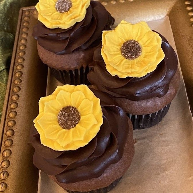 Amphora Bakery by null