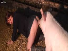 Pretty woman in stockings gets fucked a sexy pig jpg x Pig fucks woman