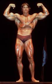 Arnold schwarzenegger jpg x Arnold schwarzenegger