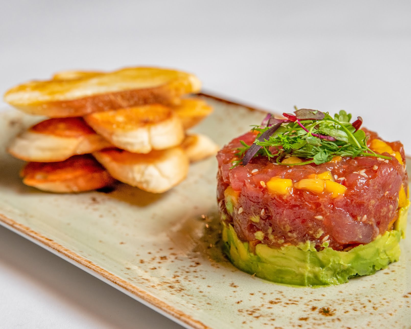 The Blue Dog by null