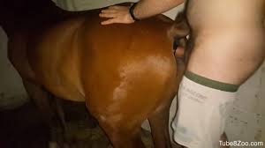 Naughty and small man fucks his wife and a mare jpg x Man fucks mare