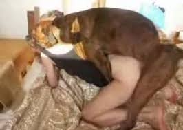Ae be csexy girl fucked hard and knotted her dog jpg x Fucked hard by dog