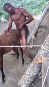 Young homemade teen in dog fuck free animal porn video jpg x Teens fucking animals