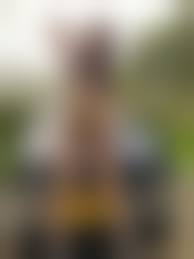 懐かしい野外露出|野外露出 画像投稿掲示板 投稿内容