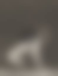 FAmily nackt boy|Wim van der Kant - Bufo Contemporary Bronze Sculpture Nude Boy Marble Stone  Male Figure For Sale at 1stDibs | nude vans, wim van der kant, marble with  wood statue modern family