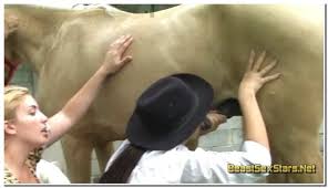 Watch woman having sex with wild horse png x Woman and horse