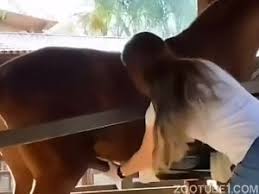 E ee e guys unleash sexual fantasies on horses and ponies jpg x Man fuck horse