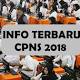KABAR GEMBIRA KemenpanRB Kaji 2 Opsi Bagi Peserta yang Tak ... - Tribun Timur