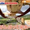 にじさんじVTuber周央サンゴ 念願の「志摩スペイン村」公式PR ...
