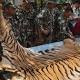 Thai 'Tiger Temple': Five charged with possessing endangered animal parts 