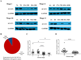 go ah ra fake nude|Frontiers | Moving from conventional to adaptive risk stratification for  oropharyngeal cancer