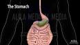 Anatomie et physiologie du sommeil ile ilgili video