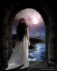 ������ ���� ������ �� ���� ������