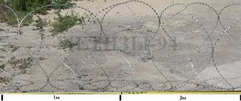 images?q=tbn:ANd9GcTC09O1KbVjYqKNLop0nrulbGwkWnK3Eb2gVfKyuqtBAZ1WDEG4