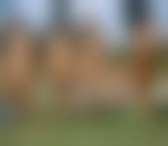 naturist grupe nude|Naked Truths - Racked