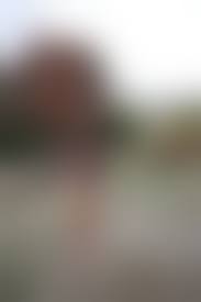 russian youth girls nude|Ksenia Russian youth - Hegre.com