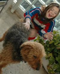 Girl is having public sex during walking the dog jpg x Girl having sex with dog