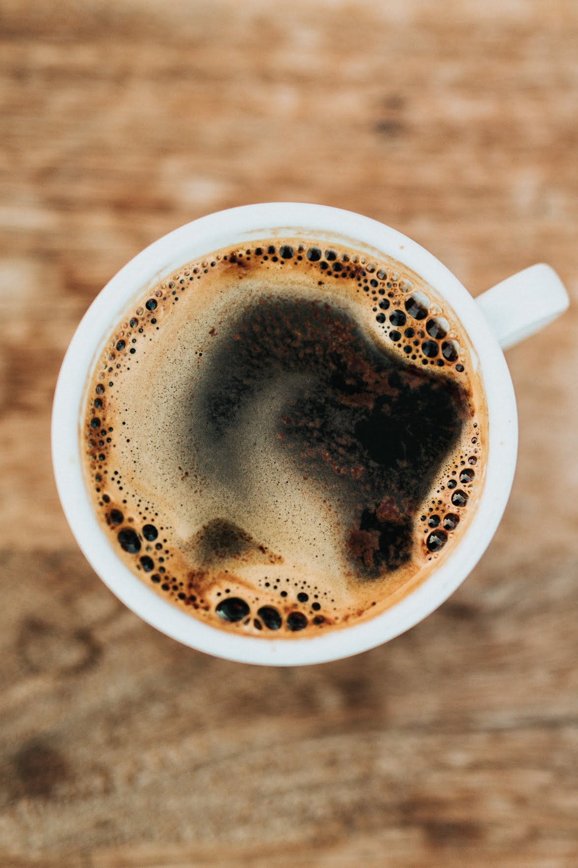 Cultivate Coffee by null