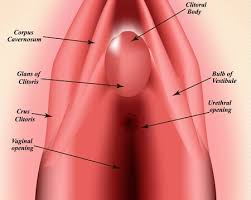 Hymen vagina|What does Hymen mean?