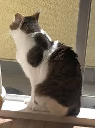 泥酔熟女|飲むと豹変する泥酔人妻と一晩過ごしたら放送事故レベルでした…【独身アラサー女】 - YouTube