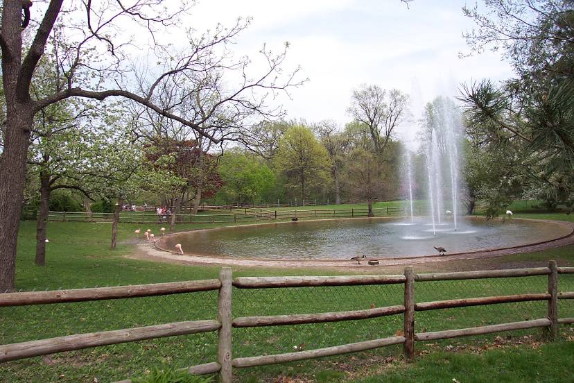 Mid America Tree Experts in St. Louis