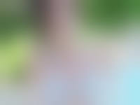 ジュニアアイドル  まんこ透け|元Jrアイドルさん、大人になった結果…即透け下着で濡れ撮影させられる…【エロ画像82枚】§ - エロ画像ときめき速報