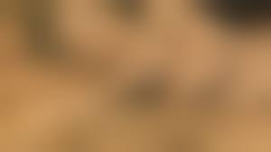 vintage incest porn|Beauty Film 2447 - Incest Delight » Vintage 8mm Porn, 8mm Sex Films, Classic  Porn, Stag Movies, Glamour Films, Silent loops, Reel Porn