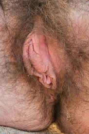 Retro porn real milf fucked really hard hairy pussy closeup free sex video redtube jpg x Hairy pussy close up